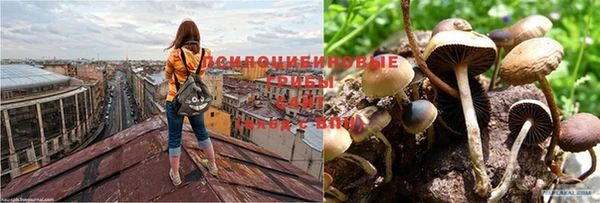 бошки Арсеньев